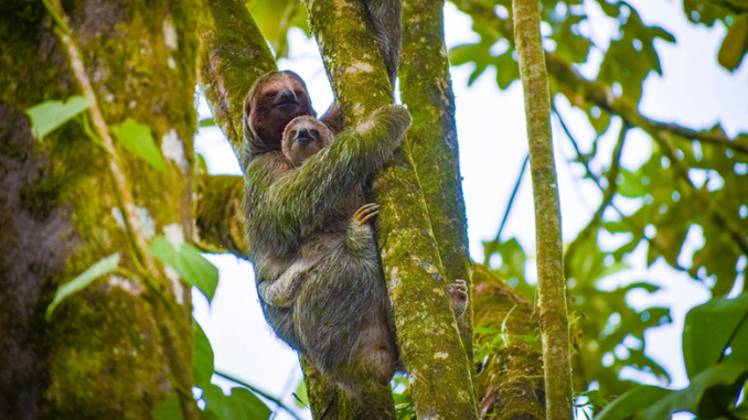 Ketahui 4 Hal Ini sebelum Wisata Luar Negeri ke Costa Rica!